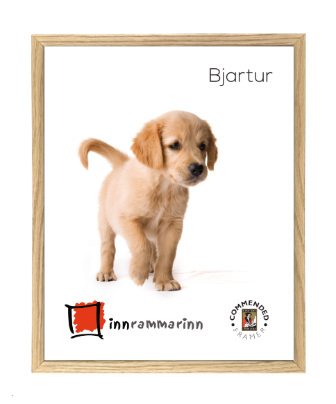 Bjartur (1,5cm) Eik