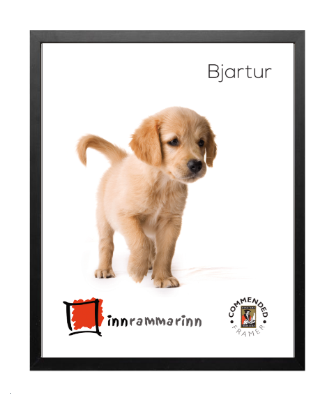 Bjartur (1,5cm) Svartur