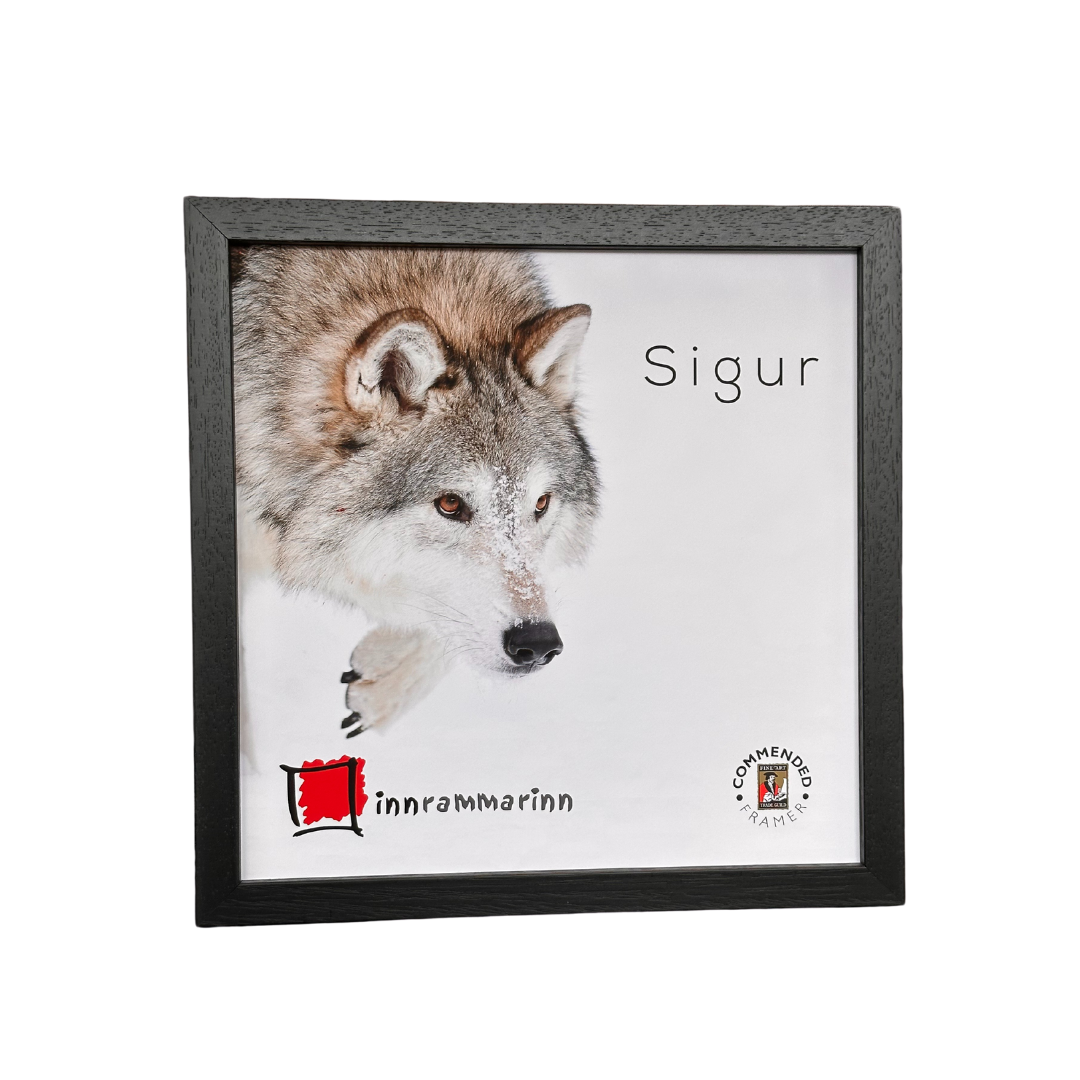 Sigur (2 cm) Svartur