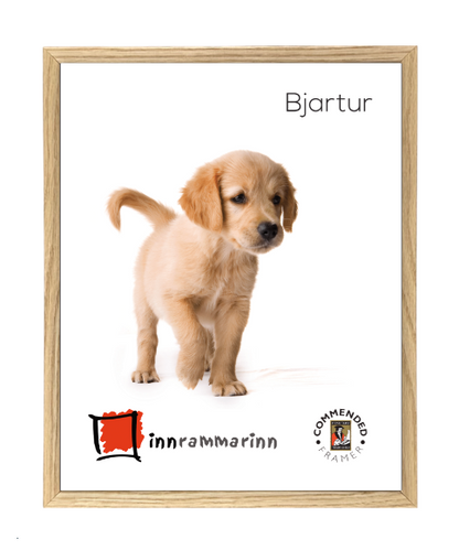 Bjartur (1,5cm) Eik